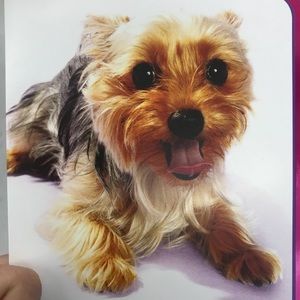 Meet your Posher, Donna